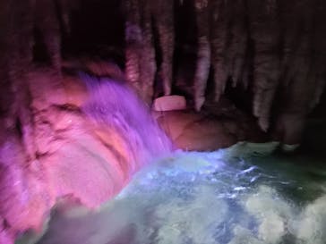 おきなわワールドに投稿された画像（2023/8/15）