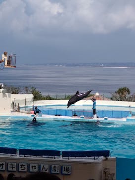 沖縄美ら海水族館に投稿された画像（2023/8/15）