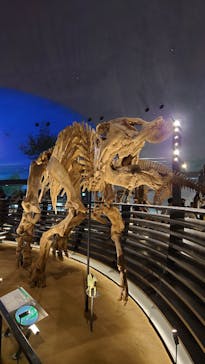 福井県立恐竜博物館に投稿された画像（2023/8/15）