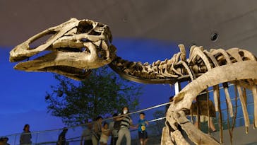 福井県立恐竜博物館に投稿された画像（2023/8/15）