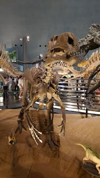 福井県立恐竜博物館に投稿された画像（2023/8/15）