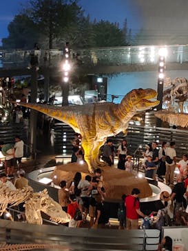 福井県立恐竜博物館に投稿された画像（2023/8/15）