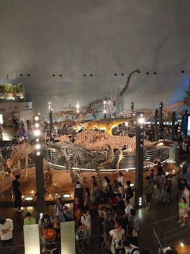 福井県立恐竜博物館に投稿された画像（2023/8/15）
