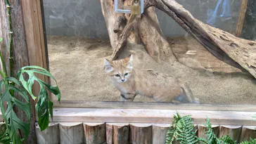 神戸どうぶつ王国に投稿された画像（2023/8/15）