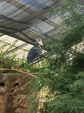 神戸どうぶつ王国に投稿された画像（2023/8/15）