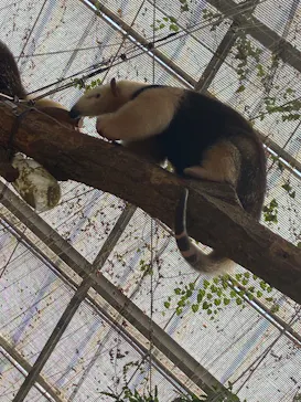 神戸どうぶつ王国に投稿された画像（2023/8/15）