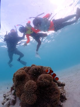 宮古島マリン GB QUESTに投稿された画像（2023/8/15）