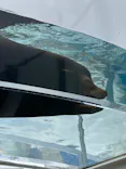 サンシャイン水族館に投稿された画像（2023/8/15）