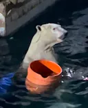 天王寺動物園に投稿された画像（2023/8/15）