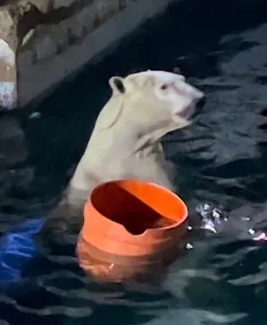 天王寺動物園に投稿された画像（2023/8/15）