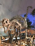 福井県立恐竜博物館に投稿された画像（2023/8/15）