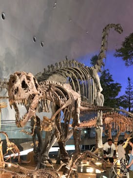 福井県立恐竜博物館に投稿された画像（2023/8/15）