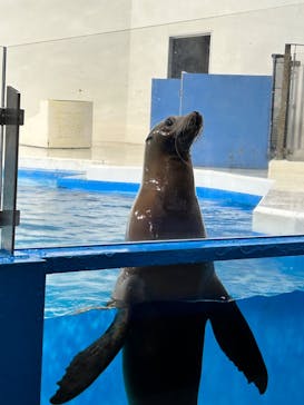 登別マリンパークニクスに投稿された画像（2023/8/15）