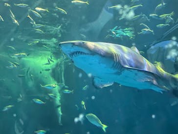 登別マリンパークニクスに投稿された画像（2023/8/15）