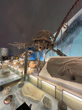 福井県立恐竜博物館に投稿された画像（2023/8/15）