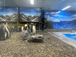 越前松島水族館に投稿された画像（2023/8/15）