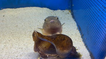 越前松島水族館に投稿された画像（2023/8/15）