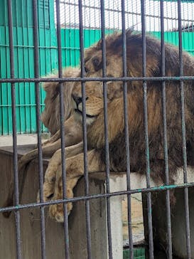 東北サファリパークに投稿された画像（2023/8/15）
