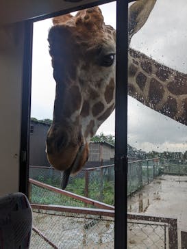 東北サファリパークに投稿された画像（2023/8/15）