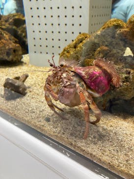 AOAO SAPPOROに投稿された画像（2023/8/15）