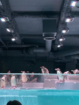 AOAO SAPPOROに投稿された画像（2023/8/15）