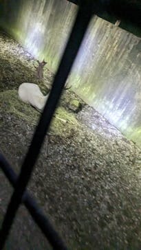 那須サファリパークに投稿された画像（2023/8/15）