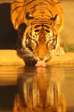 日立市かみね動物園に投稿された画像（2023/8/15）