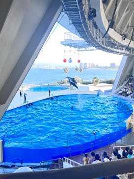 マリンワールド海の中道に投稿された画像（2023/8/15）