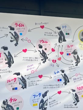 マリンワールド海の中道に投稿された画像（2023/8/15）