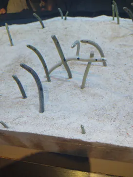 すみだ水族館に投稿された画像（2023/8/15）