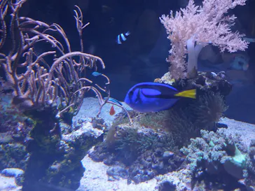 すみだ水族館に投稿された画像（2023/8/15）