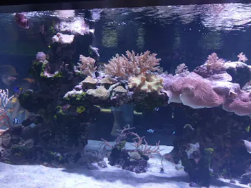 すみだ水族館に投稿された画像（2023/8/15）