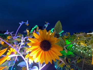 せんだい農業園芸センター　みどりの杜に投稿された画像（2023/8/15）