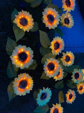 せんだい農業園芸センター　みどりの杜に投稿された画像（2023/8/15）