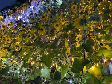 せんだい農業園芸センター　みどりの杜に投稿された画像（2023/8/15）