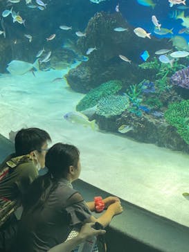 サンシャイン水族館に投稿された画像（2023/8/15）