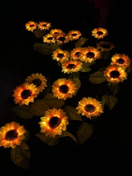 せんだい農業園芸センター　みどりの杜に投稿された画像（2023/8/15）