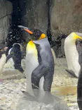 仙台うみの杜水族館に投稿された画像（2023/8/15）