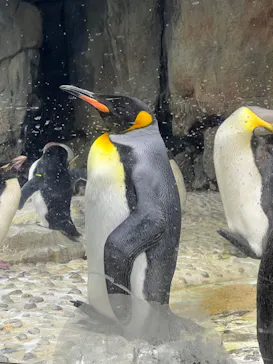 仙台うみの杜水族館に投稿された画像（2023/8/15）