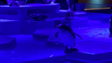 AOAO SAPPOROに投稿された画像（2023/8/15）