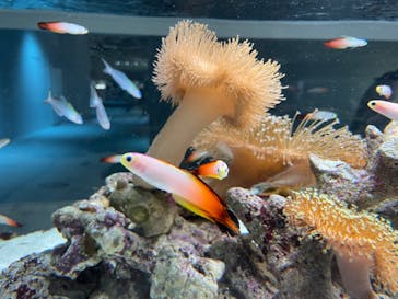 AOAO SAPPOROに投稿された画像（2023/8/15）