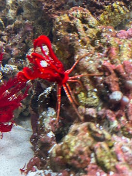 AOAO SAPPOROに投稿された画像（2023/8/15）