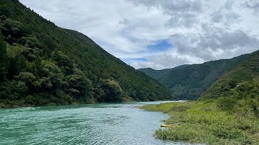 有機高揚に投稿された画像（2023/8/15）