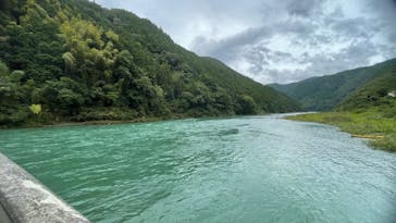 有機高揚に投稿された画像（2023/8/15）