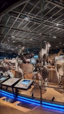 国立科学博物館に投稿された画像（2023/8/15）