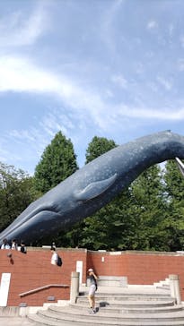 国立科学博物館に投稿された画像（2023/8/15）