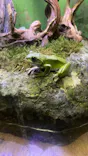 サンシャイン水族館に投稿された画像（2023/8/15）