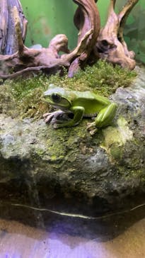 サンシャイン水族館に投稿された画像（2023/8/15）