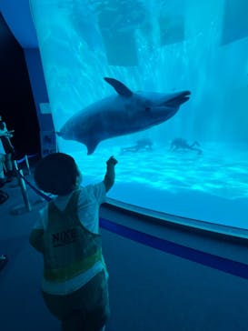 名古屋港水族館に投稿された画像（2023/8/15）