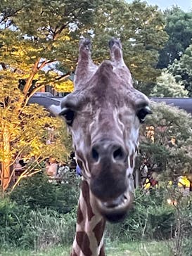 到津の森公園に投稿された画像（2023/8/15）